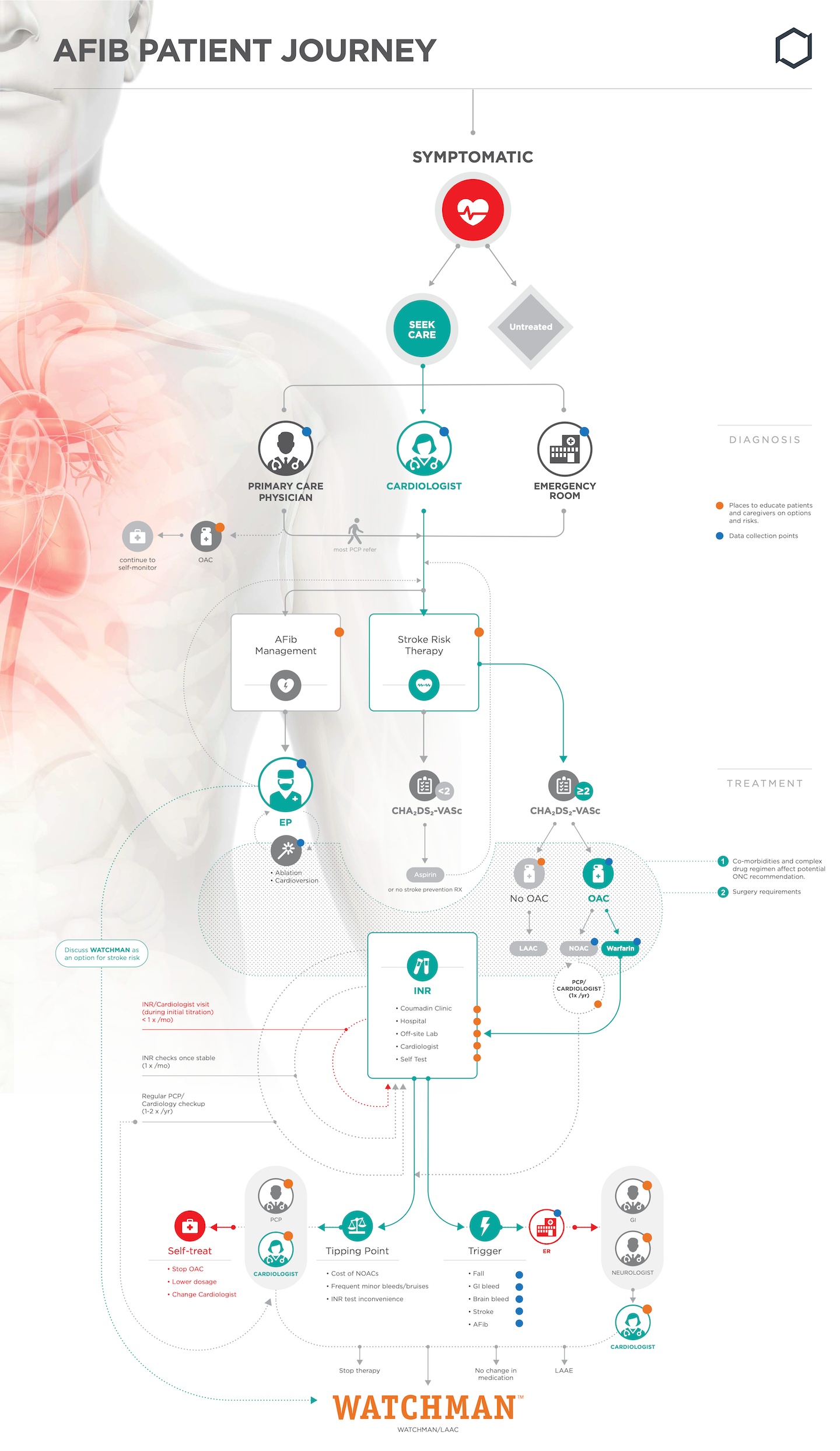 Boston Scientific – Watchman – Soo Ho